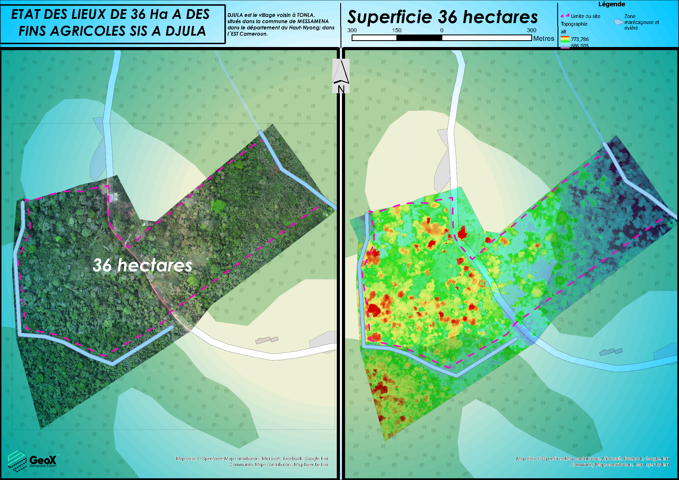 TESSANG FARMING PROJECT